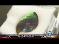 Gem Show 2014: "Ammolite"