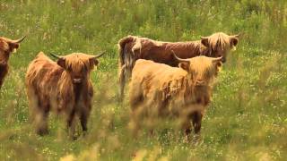 Road Trip: New Zealand South Island | Episode 1