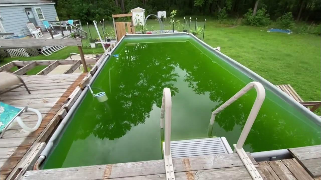 Intex salt water pool 12x24x52 review and status update 4 years later