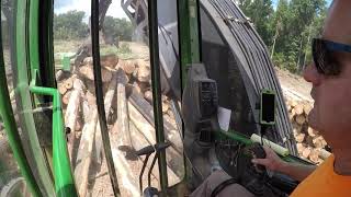 Loading #1 grade pine logs
