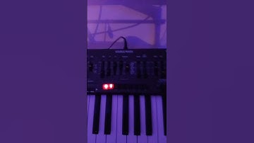 behringer ms 1