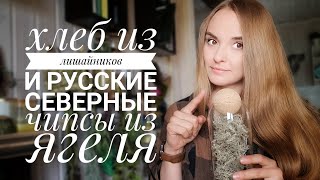 ХЛЕБ из ЛИШАЙНИКОВ👍 и русские северные чипсы из кладонии