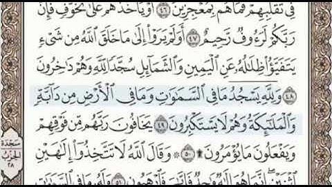سورة النحل الصفحة 272 من الاية 43 الى 54 عبدالباسط عبدالصمد مجود