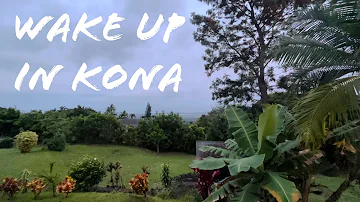 HD | Morning bird sounds | Kona, Hawaii | Relaxation | Meditation | Nature | Bird songs | Soundscape