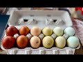 Packaging Rainbow Eggs