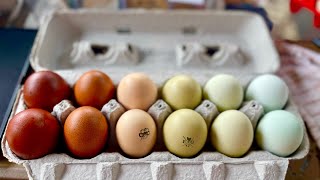 Packaging Rainbow Eggs
