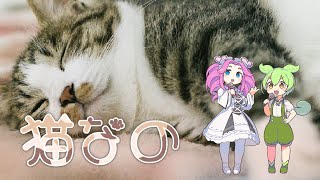 【ずんだもん】猫なの【四国めたん】