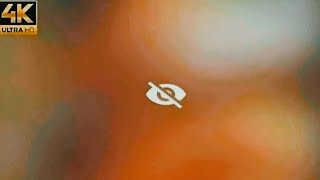 4K Micro Bikini See Throughtransparent Lingerie Fashion Trend 4K Shein Try-On Haul