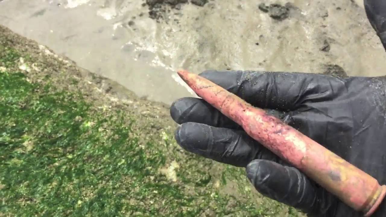 Metal Detecting Big Bullets Found YouTube