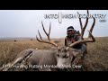 Hunting Rutting Montana Mule Deer