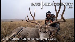 Hunting Rutting Montana Mule Deer