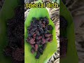 special dish#shortvideo #deepakvlog #shortvideo #funnyvideo #funny #dish #special #specialdish