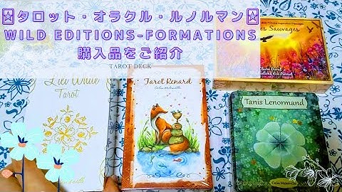 タロット・オラクル・ルノルマン購入品ご紹介&開封予告🃏🌼WILD Editions Formationsにて購入✨