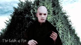 Harry Potter (in 60 Seconds)