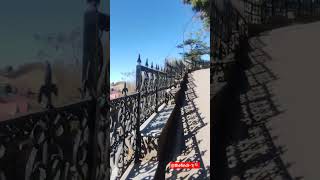 Download Lagu @thefindr-1|🔍 #natuur #viraal #shorts #ytshorts #youtube MP3