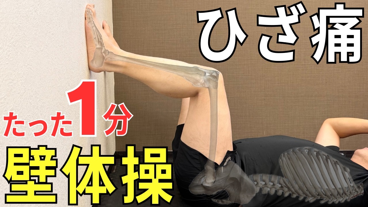 Doable while lying down] Easy 1-minute wall exercises for knee