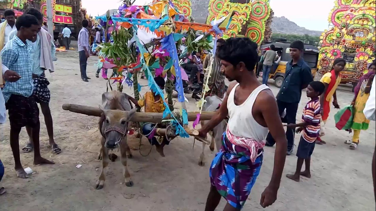 kishore telugu videos buffalo cart in fair