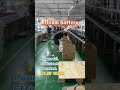 🚀 Keepknow Lithium Batteries – Power That Stays Sharp!