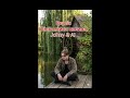 Іван Цибульський Johny AI Біля млина калина 