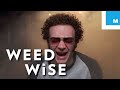 Is Cannabis A Gateway Drug? - Weedwise