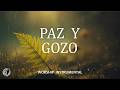 MUSICA INSTRUMENTAL CRISTIANA SIN ANUNCIOS INTERMEDIOS - PIANO WORSHIP - PAZ Y GOZO