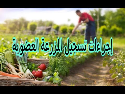 المزرعة العضوية إجراءات تسجليها بالمعمل المركزي للزراعة العضوية بوزارة الزراعة