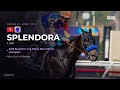 Breeders' Cup Distaff - Win and You're In - Fleur de Lis