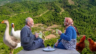 The Most Romantic Village Life of an 80-year-Old Couple Under the Spring rain