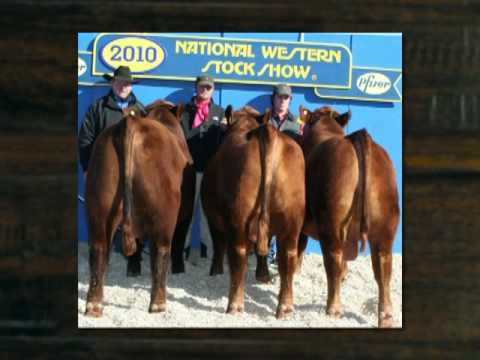 Rockin R Angus Ranch - YouTube