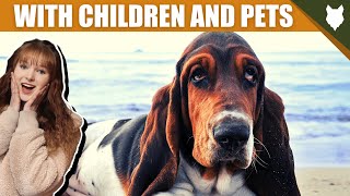 BASSET HOUND WITH OTHER CHILDREN AND PETS