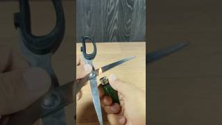 Did you know this clever trick for sharpening old scissors #diy #tips