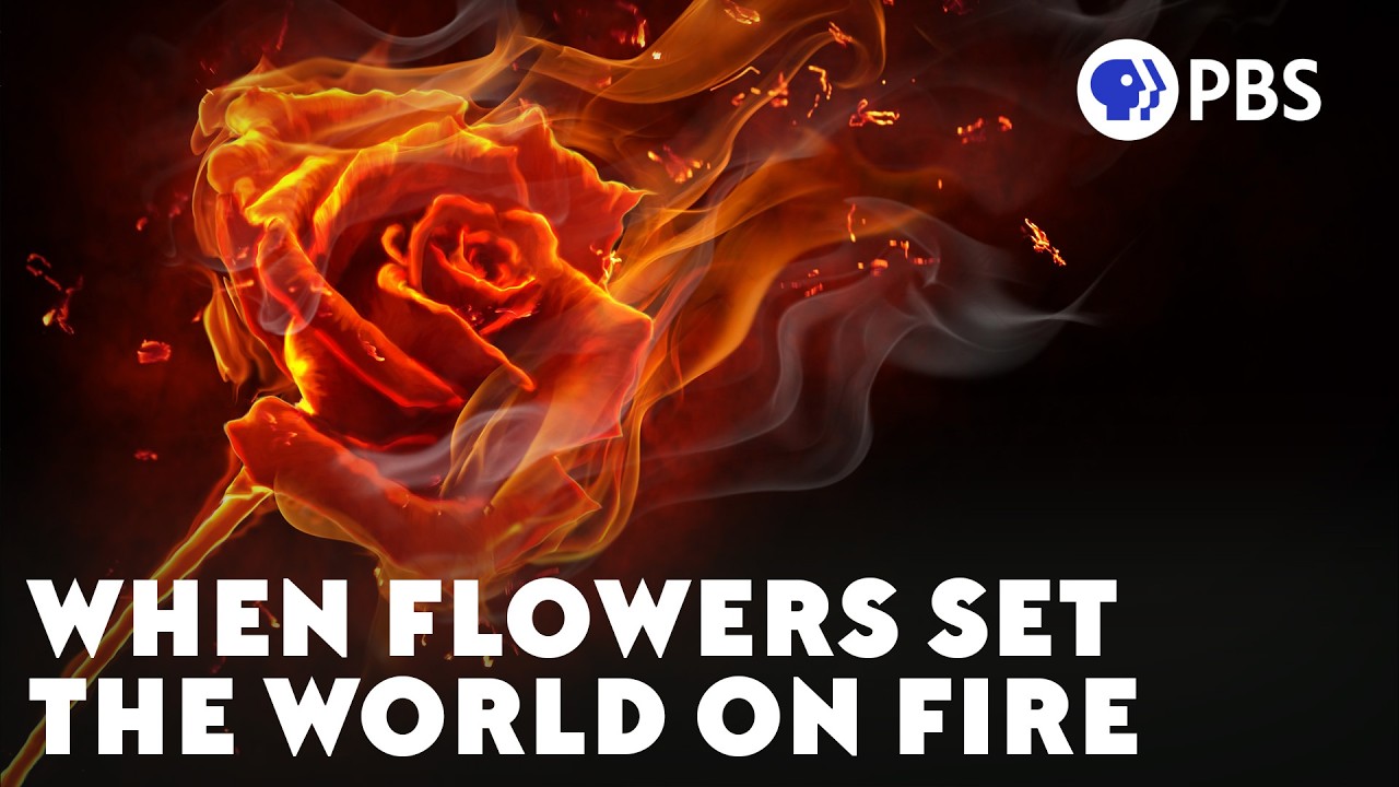 130 Million Years Ago, the World Caught Fire