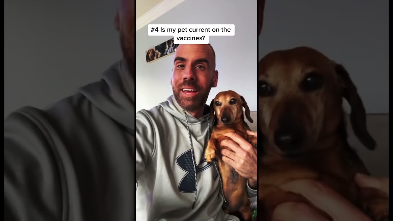 10 Questions to Ask Your Veterinarian.