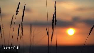 InnerFlo.me – Serenity Drift Demo | 1.5 Hz Delta + 396 Hz for Deep Release & Quiet Ease