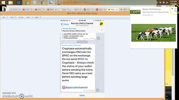 Quick PACcoin Cryptopia, Wallet & Masternode Update for $PAC