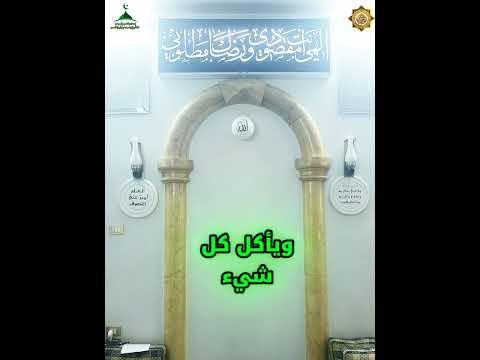 الزهد ان لا يتعلق قلبه بالدنيا لا أن يكون فقيرا