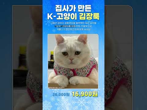 고양이 김장철에는 김장조끼 추천!