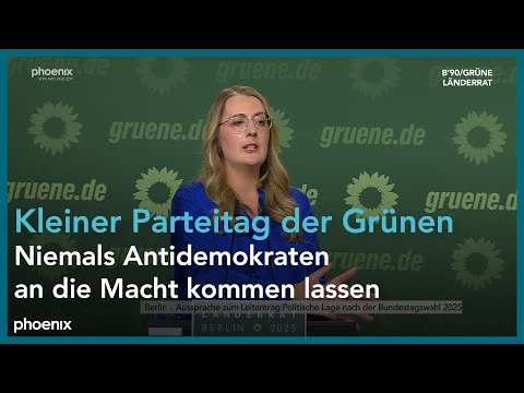 Kleiner Parteitag der
