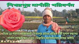 Rose Garden/Plants ID/Dulal Mondal/Shikarpur/Rajarhat @INDIANNURSERYGROUP
