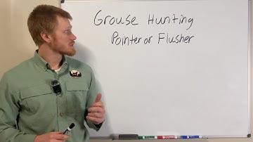 Pointer or Flusher for Grouse Hunting? (4 Things to Consider)