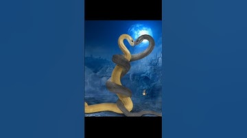 Thumbnail of Nagin3 Mahir and Bela.