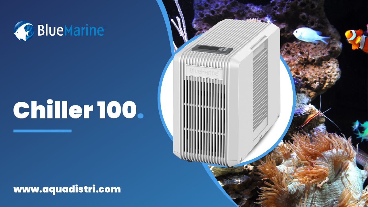 The Chiller 100 from Blue Marine
