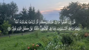ما تيسر من سورة ال عمران من تراويح رمضان 1446ه‍  جامع بن عبيد