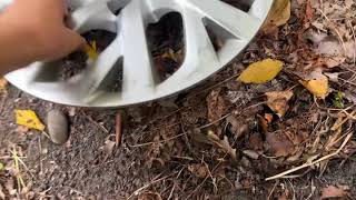 2017-2019 Toyota Corolla hubcap find!!!!!
