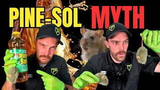 Does Pine Sol Actually Repel Mice? Nope!