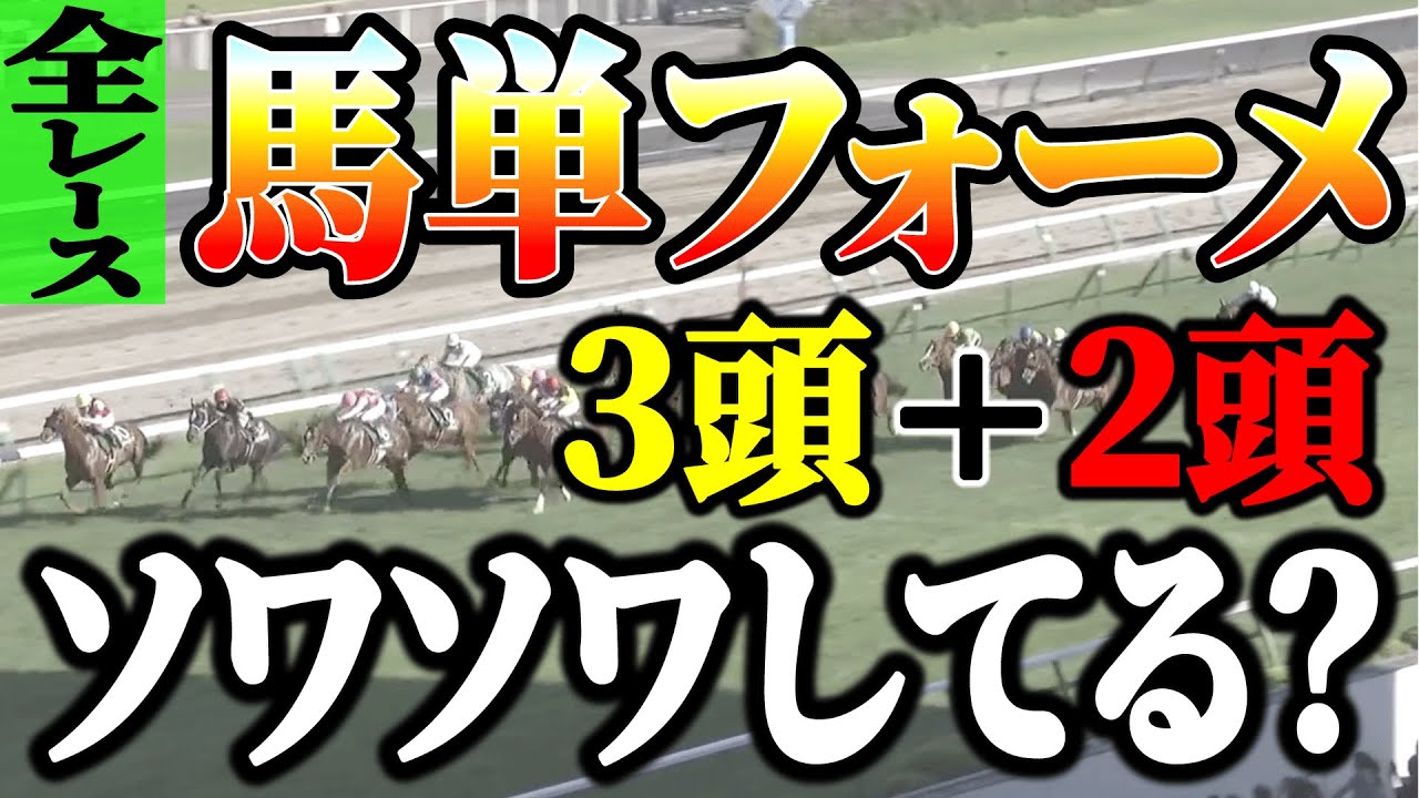 馬単12点で全レース！今年の夏はソワソワ？【競馬実践】