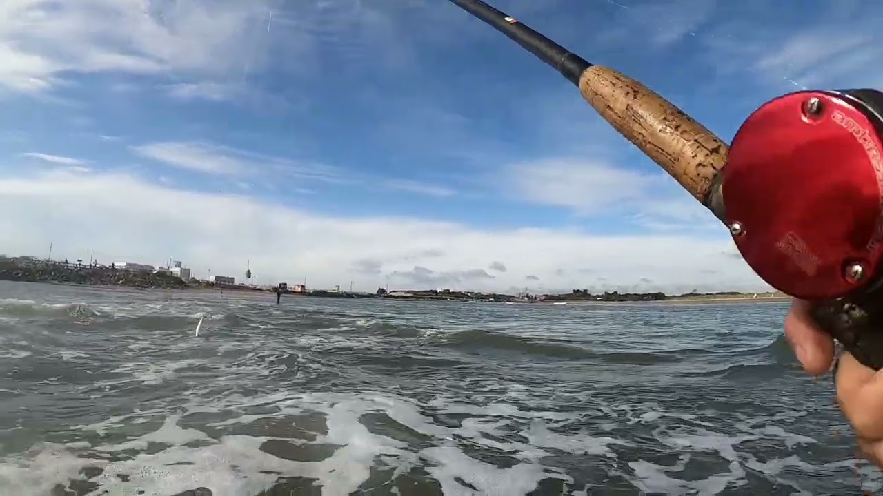 ¡ATAQUE EN EL MEDIO DEL VERIL! PESCA de un lenguado impresionante