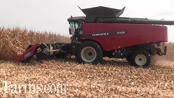 Versatile RT490 Combine With Geringhoff Corn Head at Farm Progress Show Harvest Field Demo