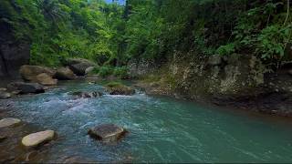 Forest Stream Flowing Sound 24/7. Relaxing River Sounds. Water White Noise for Sleep or Relax.