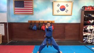 10 Elbow Strikes (White Belt Form)